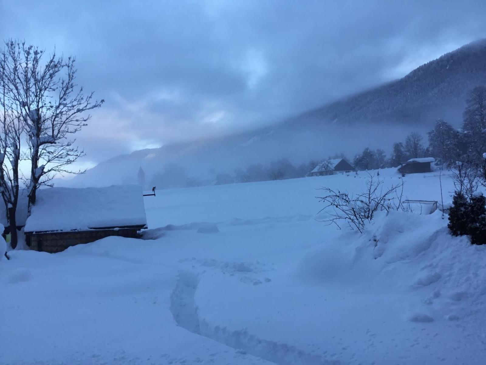 Apartments Koblar Kranjska Gora Cameră foto